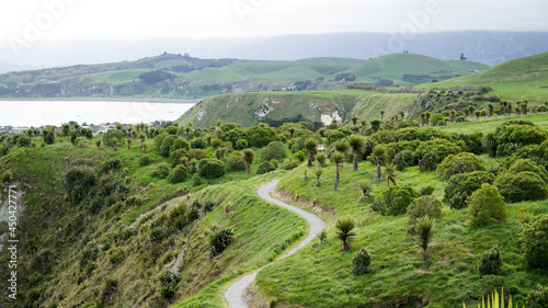 Coastal sea landscapes near Kaikoura on the South Island of New Zealand. © Christopher