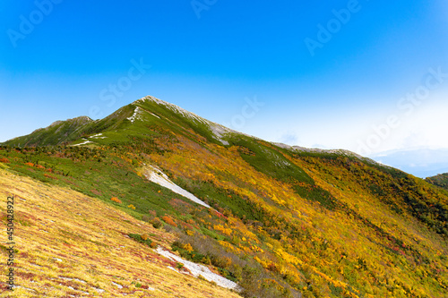 Fototapeta Naklejka Na Ścianę i Meble -  Fall Mountain Ridge with Fall Leaves