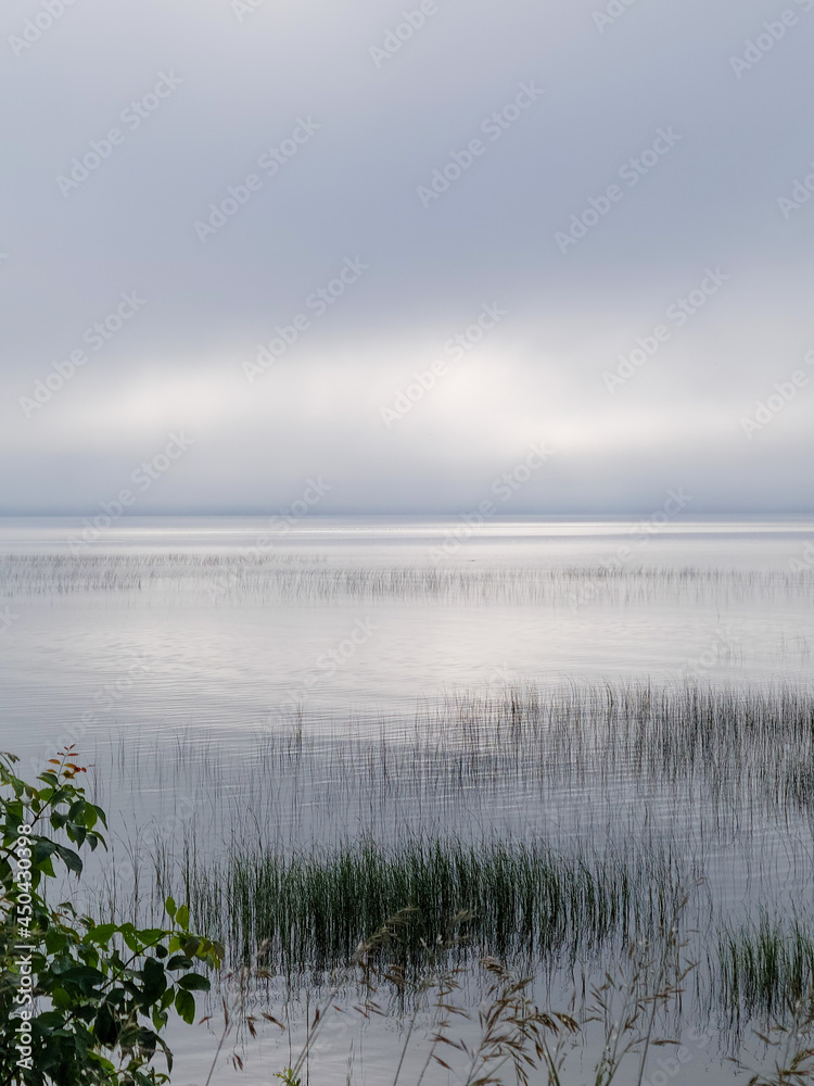fog over the river fog over the river