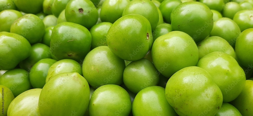 Green organic tomatoes in the garden after harvest Green organic tomatoes in the garden after harvest