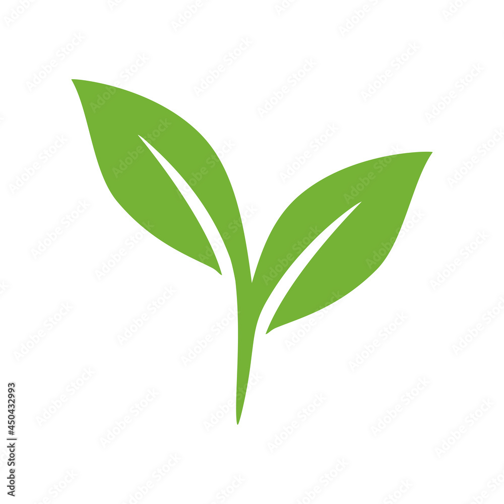 Fototapeta premium Green leaf logo