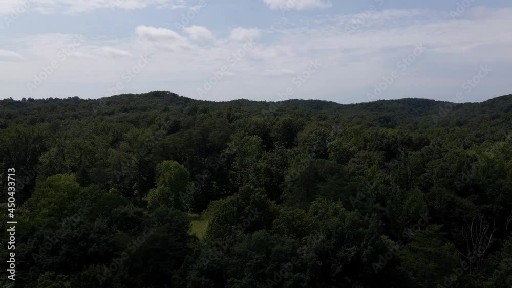 Drone Reveals the tree skyline over public park Drone Reveals the tree skyline over public park