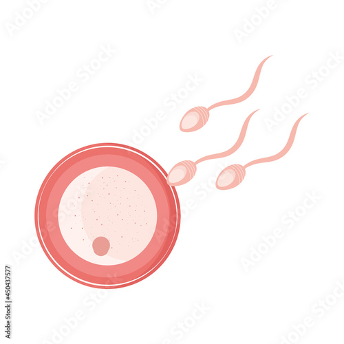 fertilization, embryo new life