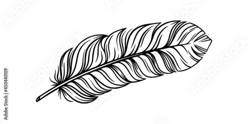 Bird feather for a quill. Tribal feather illustration for an ethnic decoration. Vector illustration isolated in white background