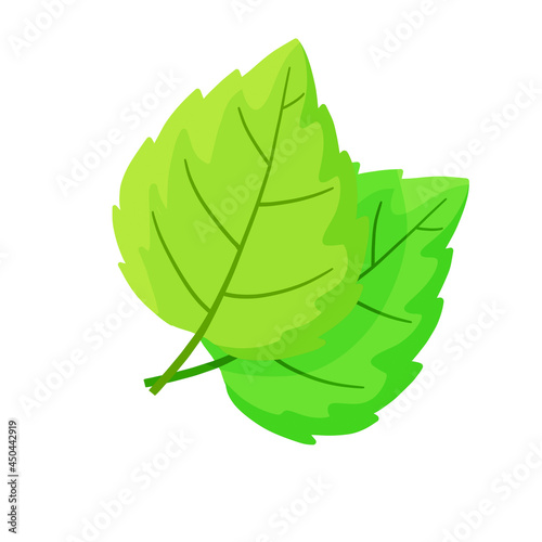 Mint leaf. Cool spice. Refreshment and freshness. Green part of the plant. Flat cartoon illustration isolated on white