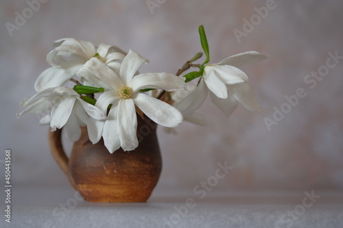 White magnolia flowers in a brown clay mug.