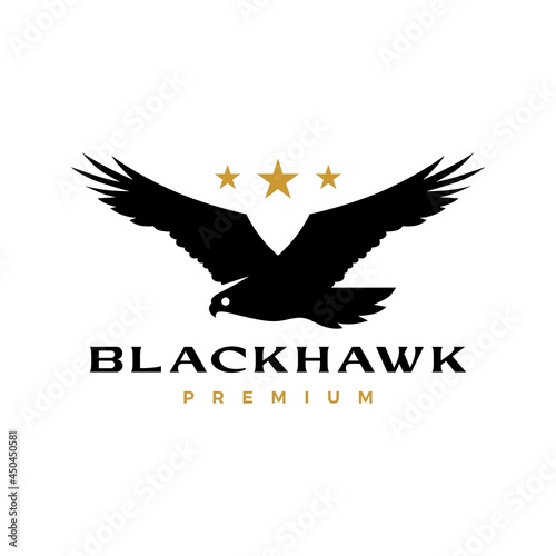 black hawk eagle flying roar star logo vector icon illustration