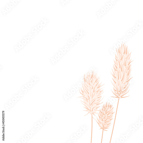 Dry thistle on a white background. Design of postcards, invitations to the wedding. Hand drawn vector background