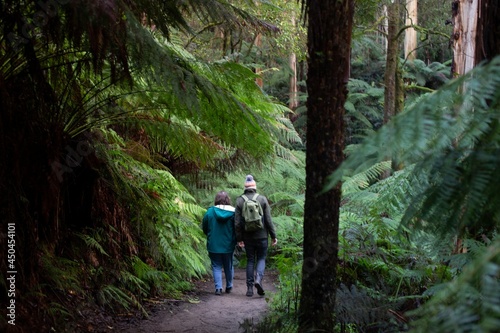 Bushwalk  © megan