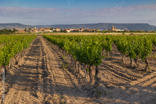 Panoramic view of Bureta, Spain, Campo de Borja. Burobosque