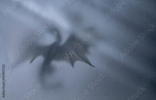 Silhouette of a flying dragon in a gray veil