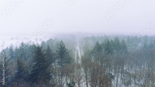 Wallpaper Mural Majestic aerial drone shot, flying over forest treetops, during blizzard, real-time shot Torontodigital.ca