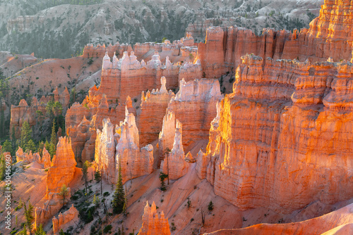 Bryce Canyon National Park, Utah. Red-orange-pink sandstone spires sculpted by the forces of nature, filled with morning light