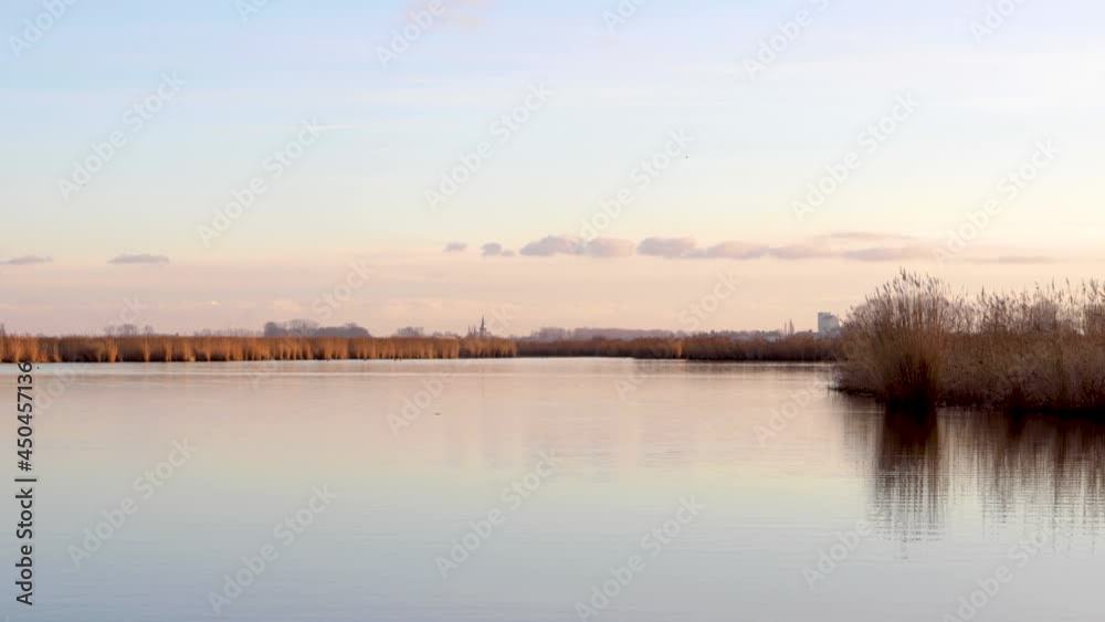 Birds flying over a lake during sunrise