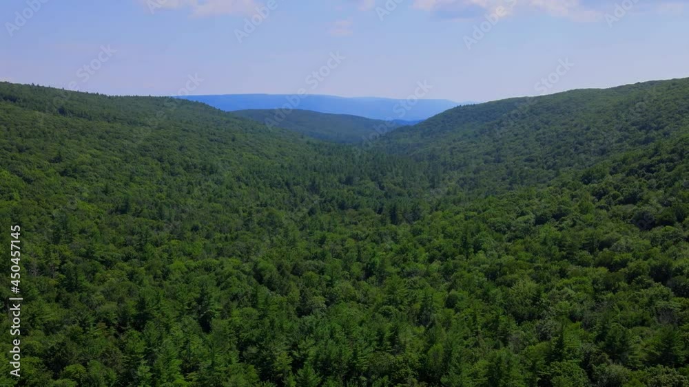 Aerial view of forest in the Catskill Mountains, Hudson Valley, in Appalachian Mountains during summer. Drone video shot flying over dense coniferous and deciduous trees, nature background footage. Aerial view of forest in the Catskill Mountains, Hudson Valley, in Appalachian Mountains during summer. Drone video shot flying over dense coniferous and deciduous trees, nature background footage.