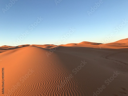 the Sahara Desert