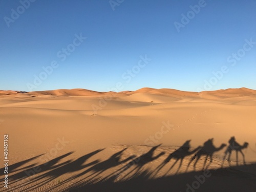 the Sahara Desert