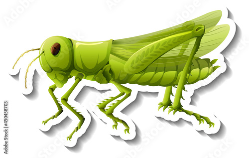 A sticker template with a grasshopper isolated