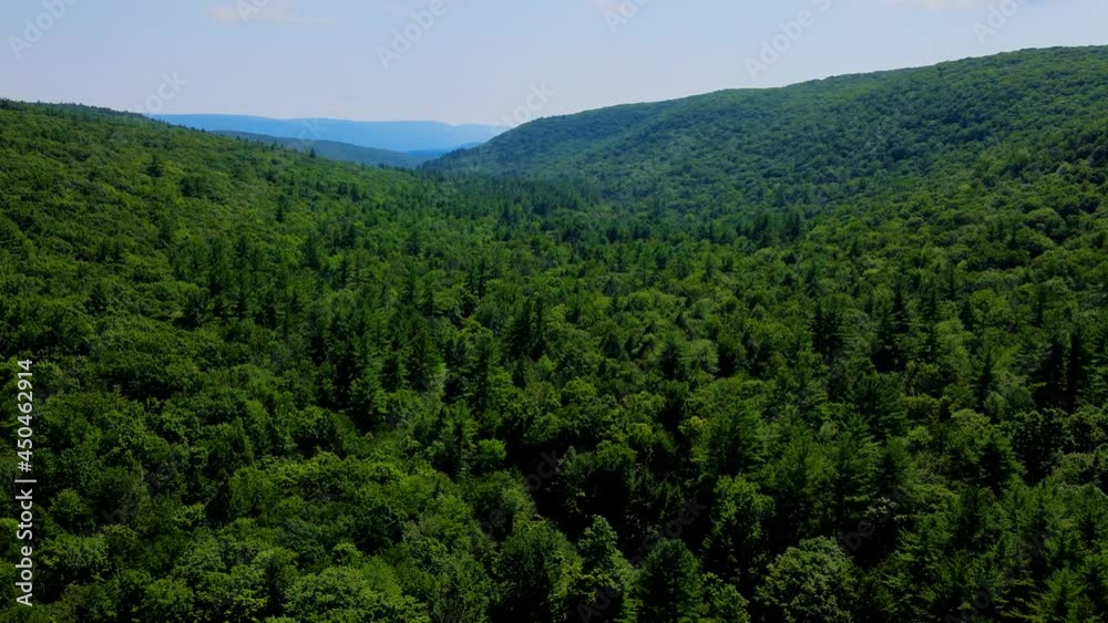 Aerial view of forest in the Catskill Mountains, Hudson Valley, in Appalachian Mountains during summer. Drone video shot flying over dense coniferous and deciduous trees, nature background footage. Aerial view of forest in the Catskill Mountains, Hudson Valley, in Appalachian Mountains during summer. Drone video shot flying over dense coniferous and deciduous trees, nature background footage.