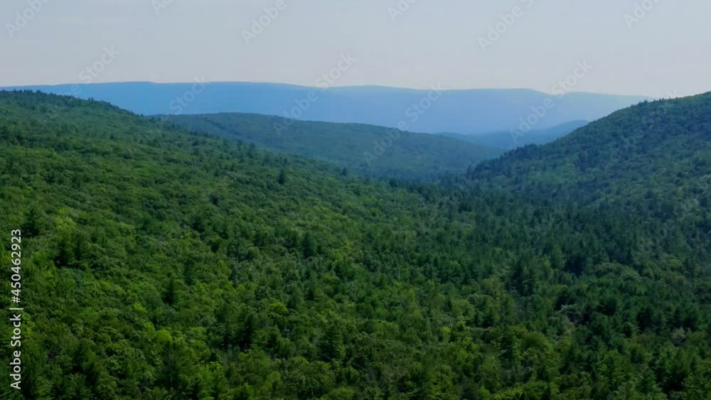 Aerial view of forest in the Catskill Mountains, Hudson Valley, in Appalachian Mountains during summer. Drone video shot flying over dense coniferous and deciduous trees, nature background footage. Aerial view of forest in the Catskill Mountains, Hudson Valley, in Appalachian Mountains during summer. Drone video shot flying over dense coniferous and deciduous trees, nature background footage.