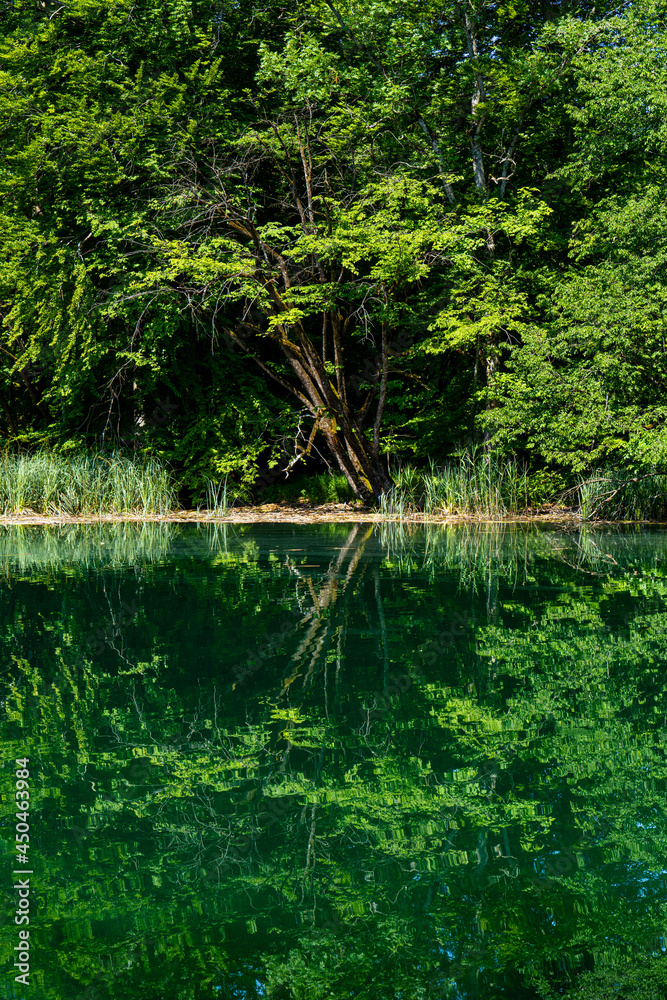 Beautiful landscape in the Plitvice Lakes National Park in Croatia Beautiful landscape in the Plitvice Lakes National Park in Croatia