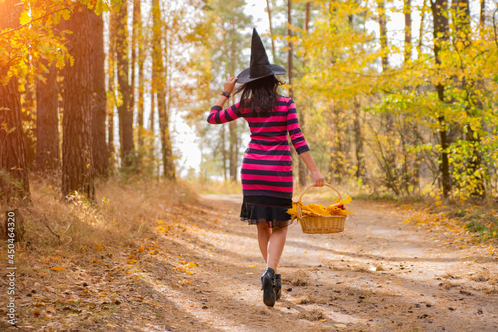 Fototapeta premium young attractive witch walks in the autumn orange forest.helloween concept.