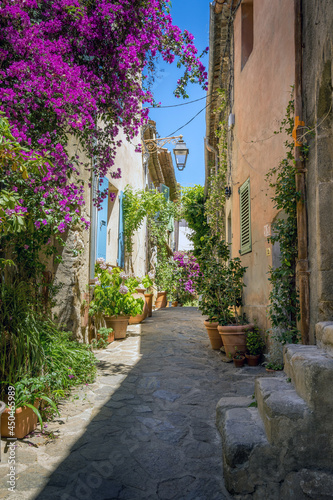 Fototapeta Naklejka Na Ścianę i Meble -  Soleil de Provence