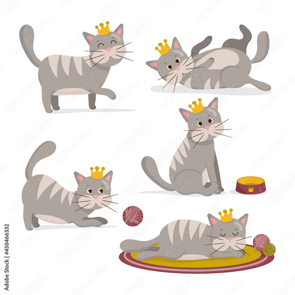 Vector illustration of set of gray cat with crown in different poses. Cute cartoon cats character