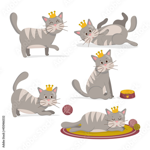 Vector illustration of set of gray cat with crown in different poses. Cute cartoon cats character © VctAn