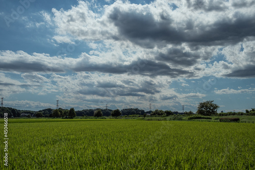 青空と雲と田んぼの風景