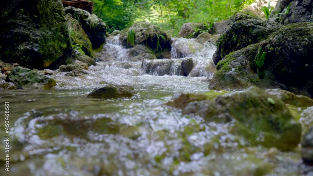 Slow motion dolly shot of flowing fresh water stream with green alga in forest - 4K Prores high quality shot Slow motion dolly shot of flowing fresh water stream with green alga in forest - 4K Prores high quality shot