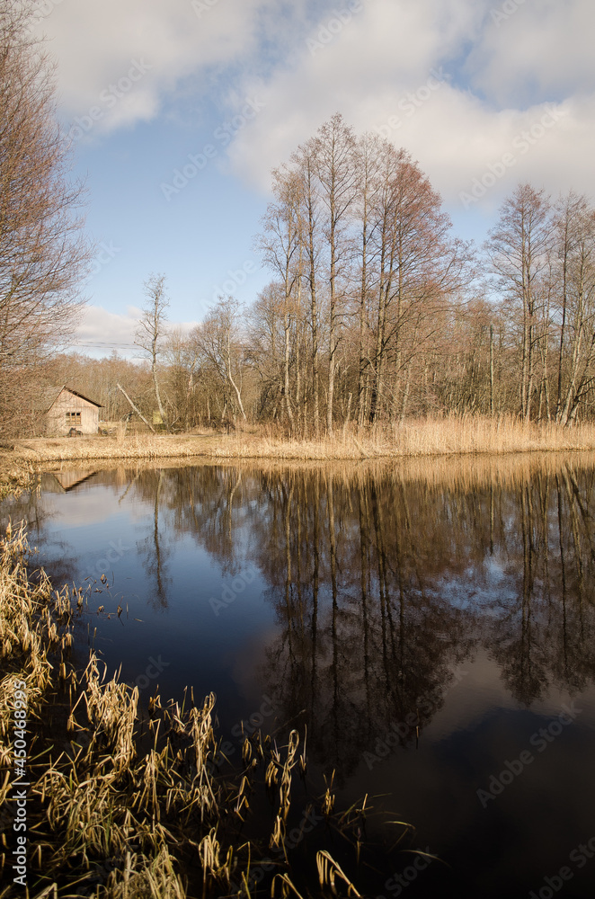 Obraz premium Pond with reflection on a sunny spring day.