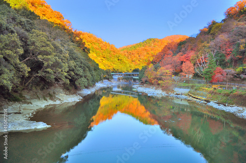 日本　京都府宇治市にある天ケ瀬吊り橋から見る秋の宇治川の風景