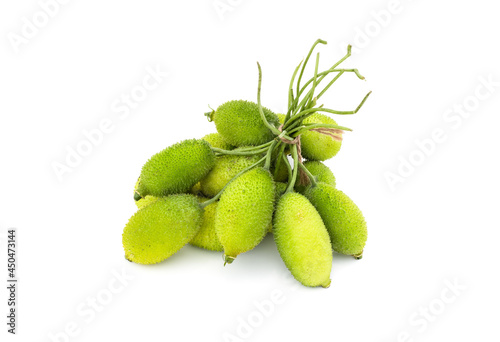 A bunch of fresh organic green spiny gourd on white background photo