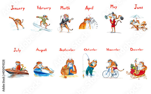 Fototapeta Naklejka Na Ścianę i Meble -  A set of 12 cartoon Chinese tiger athletes with inscriptions of the months of the year on an isolated white background in watercolor and colored pencils. Print. Calendar. Postcard.
