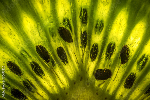 Cross section of a kiwi photo