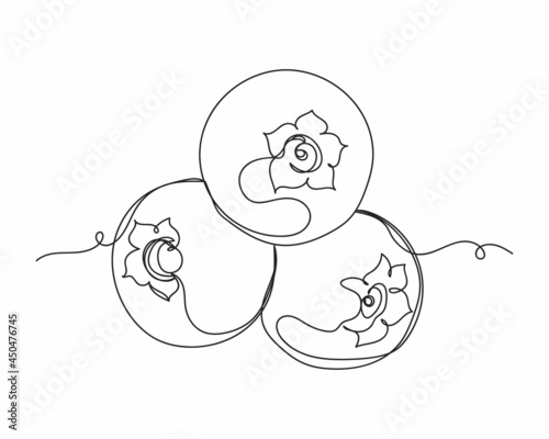 Continuous one line drawing of three blueberries in silhouette on a white background. Linear stylized.Minimalist.