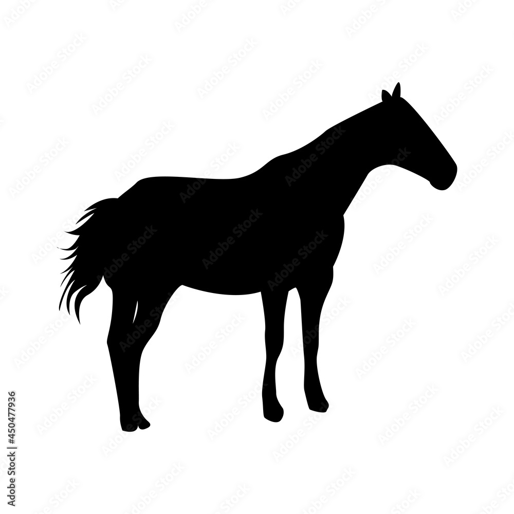 Obraz premium calm horse silhouette - black vector outline on white
