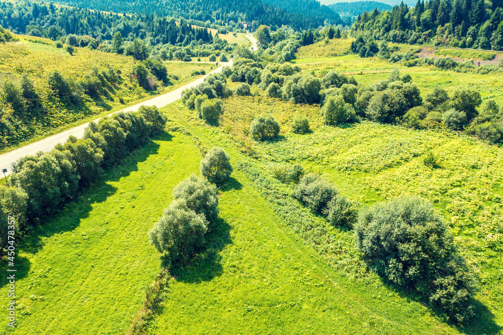 View of the meadow on the slope of the mountain on a summer sunny day