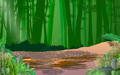 landscape of forest in the day time