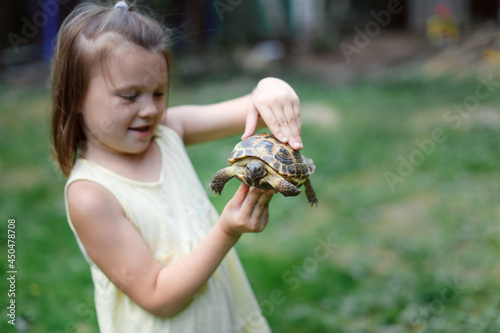 a child holds in his hands a land turtle among the grass, walking a pet in the park, in the backyard © natalialeb