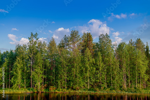 Taiga river with green coniferous forest and blue sky.