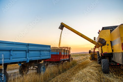 Combine harvester and tractors in wheat field. Wheat harvest at sunset.