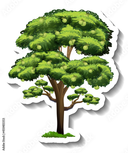 Guava tree on transparent background