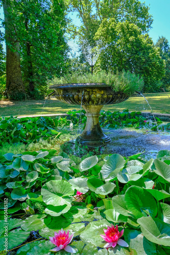 fountain in the park with pond covered with water lilies and leaves across green trees. Magnani Rocca, Parma, Italy photo