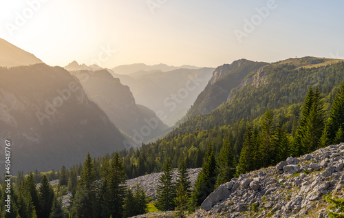 Sunset light in the high mountains with green pine trees and rocks