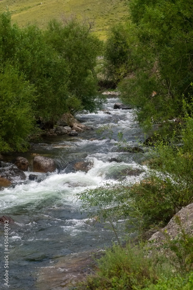 Mountain river flowing through the green forest Mountain river flowing through the green forest