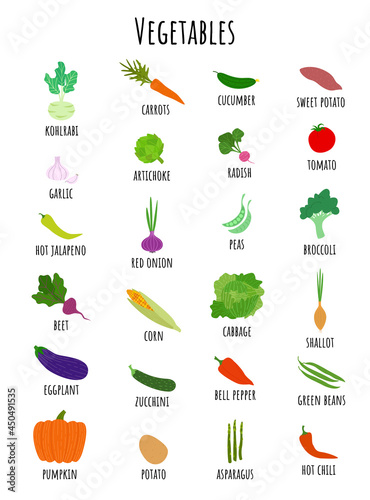 Vegetable vocabulary set. Collection of the clip art vegetables with signatures. Vector illustration of harvest