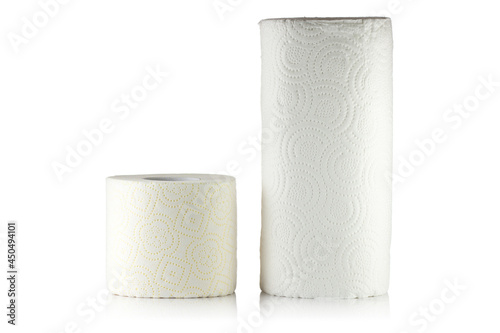 A roll of toilet paper and a roll of paper towels on a white background.