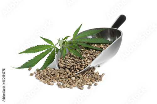 Metal scoop with hemp seeds and leaves on white background